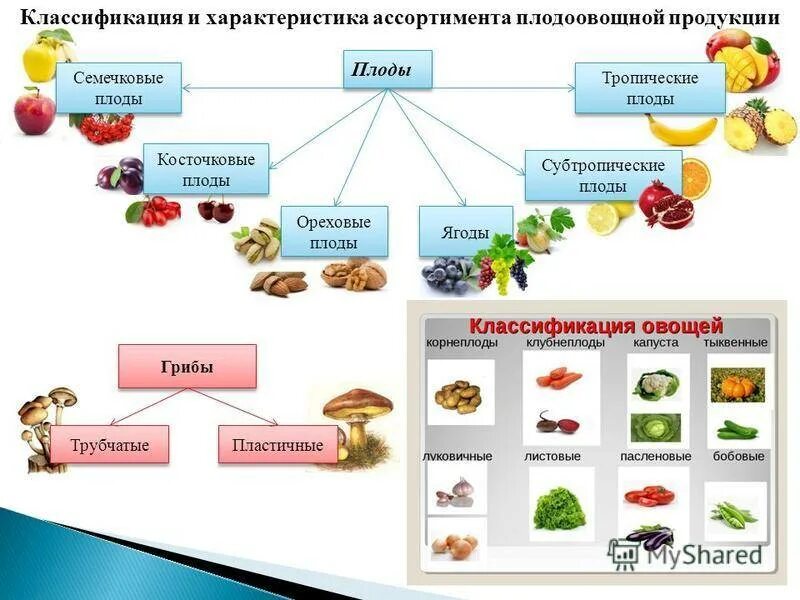 Продукты получаемые от птиц. Классификация плодов ягод и овощей. Классификация плодоовощной продукции. Схема классификации косточковых плодов. Классификация свежих плодов и овощей.