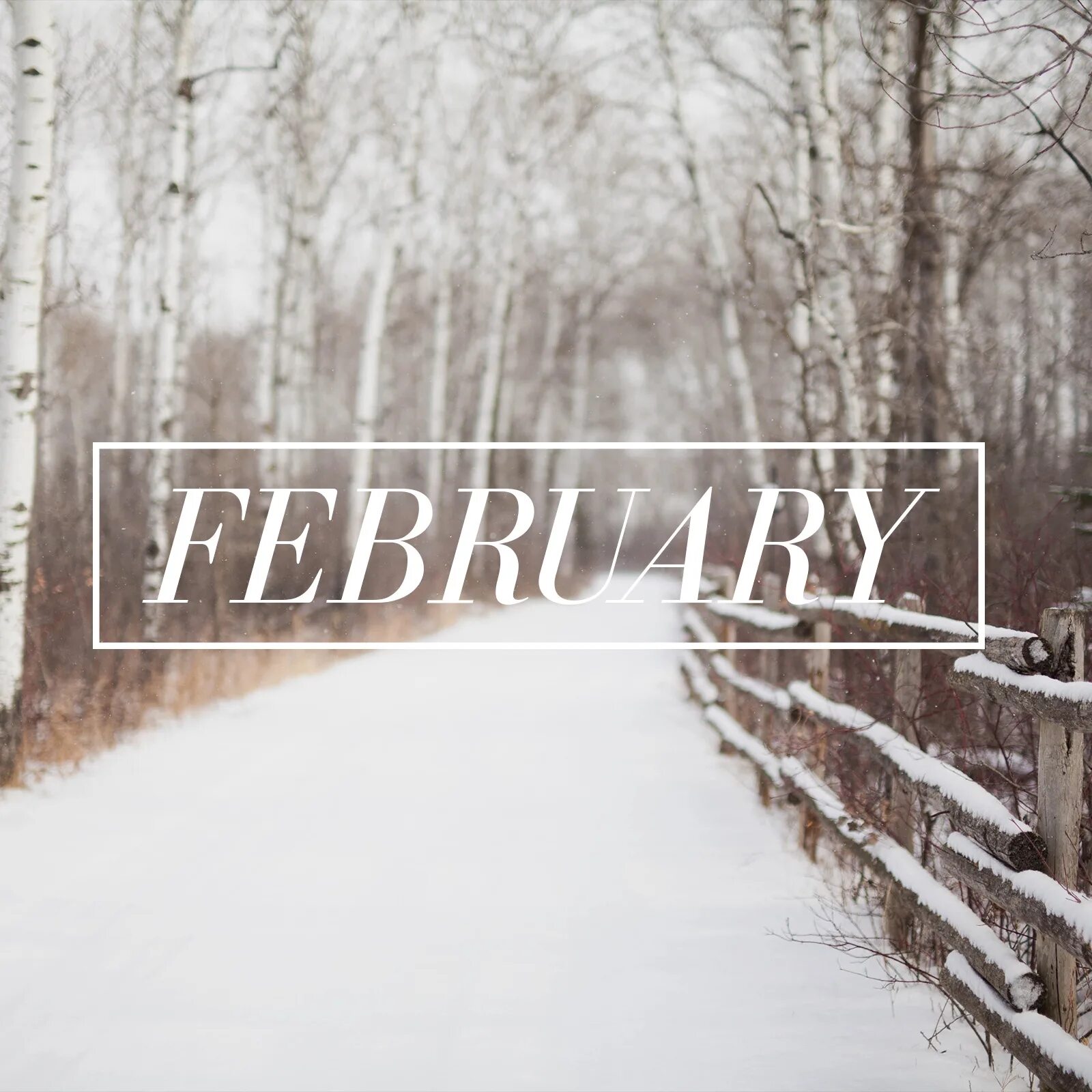 February first. Февраля надпись. Февраль Эстетика. Обои февраль месяц. Февраль надпись красивая.