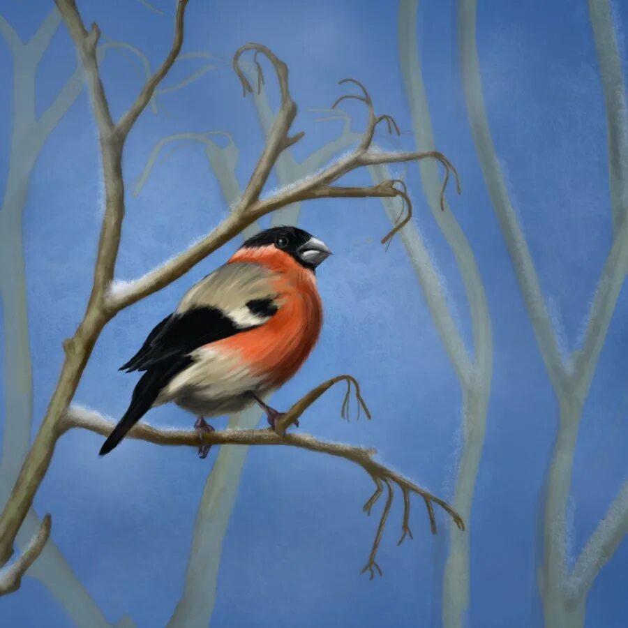 снегирь акварель. снегирь акварель. снегирь рисунок. снегирь на ветке гуашью. снегирь картинка для детей.