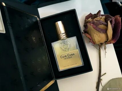 Cuir cuba nicolai