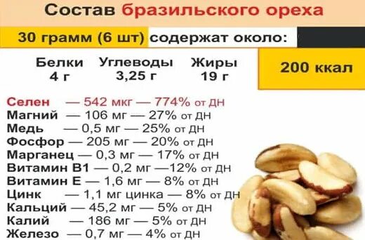 Бразильский орех презентация. Бразильский орех польза. Чем полезен бразильский орех для организма. Бразильский орех польза. Бразильский орех польза.