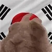 Телеграм вайб