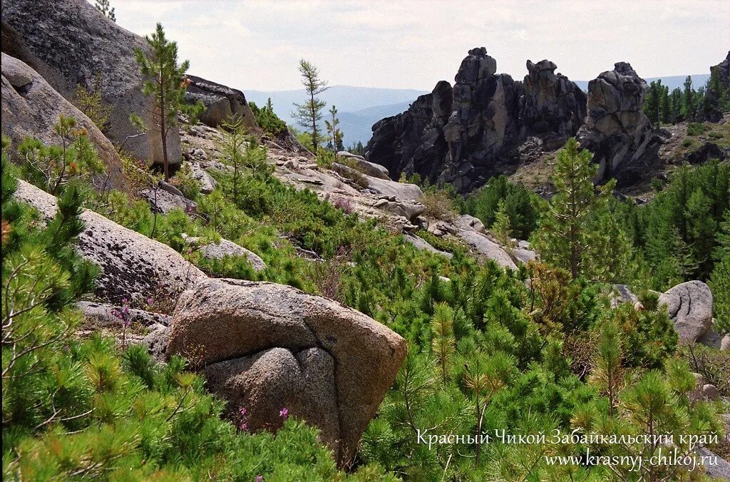 Чикой Забайкальский край. Красный Чикой Забайкальский. Село красный Чикой Забайкальский край. Красный Чикой Забайкальский край Шамбала. Погода красный чикой забайкальский на неделю