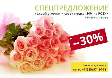 Каждый вторник недели
