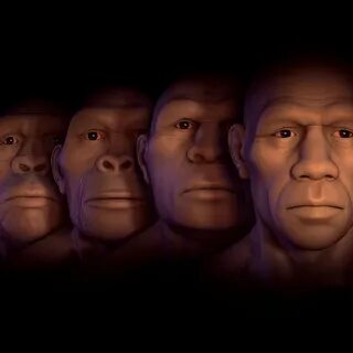 The first human