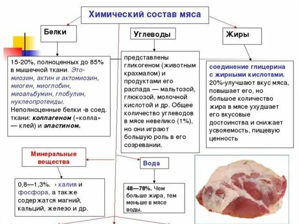 Химический состав мяса основные ткани мяса. Пищевая ценность мяса убойных животных. Классификация мяса по виду. Пищевая ценность. Основные ткани мяса.. Химический состав и ткани мяса убойных животных.