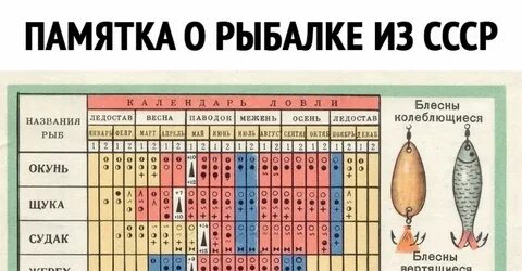 Календарь клева на 24 год