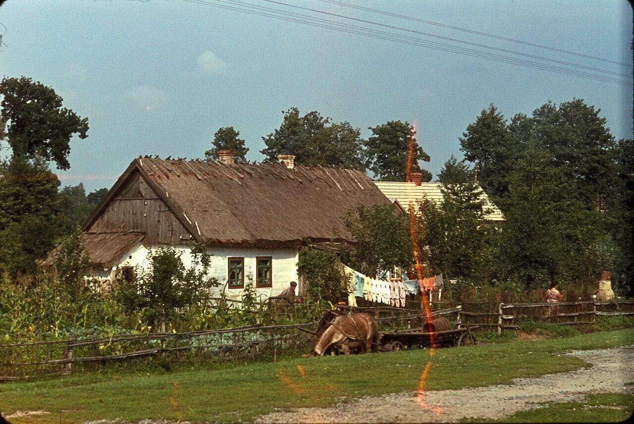 Деревня 80 года