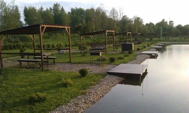 Рыбалка на платных прудах. Платные пруды подмосковья для рыбалки. Рыбалка на пруду. Платные водоёмы для рыбалки. Вип пруд дмитровский район.