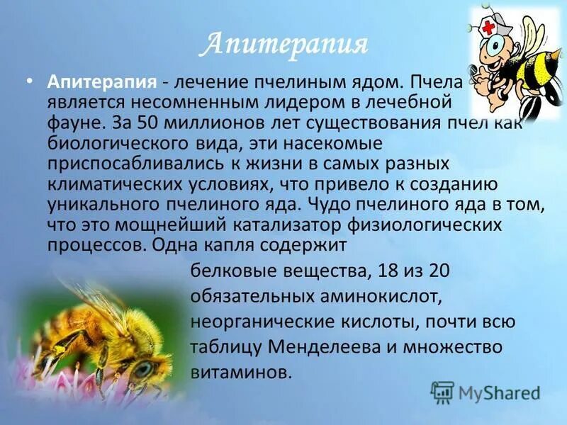 Профилактика болезней пчел. Методы лечения апитерапии.