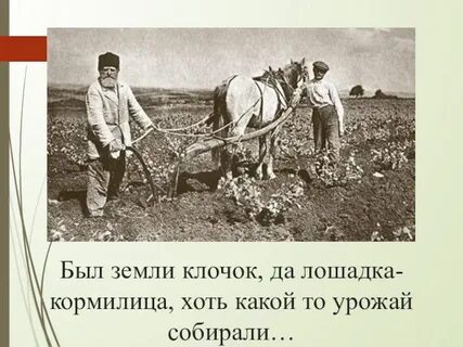 Предложил незнакомке стать кормилицей