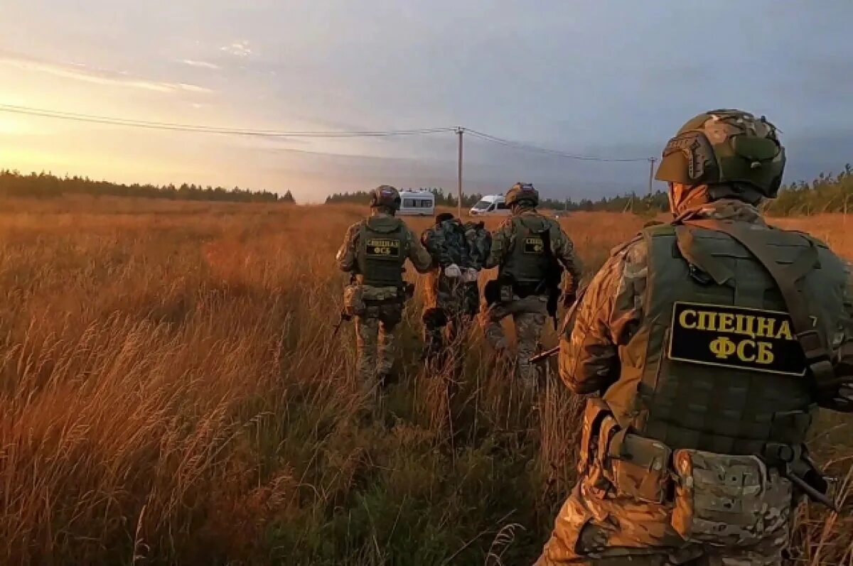 Советские диверсанты второй мировой войны. Диверсия диверсант. Украинские диверсанты в крыму. Диверсант 3 серия. В брянской области задержали диверсантов.