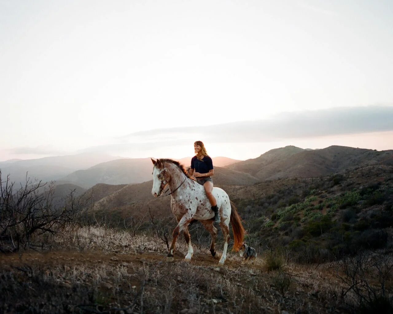 Riding on a white