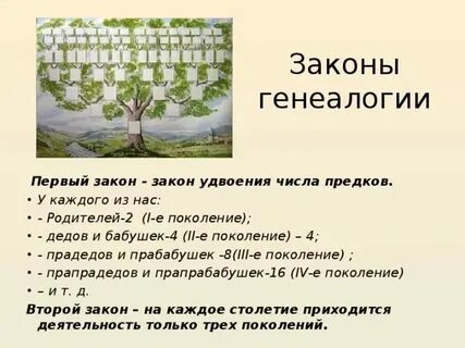 Сколько прадедов