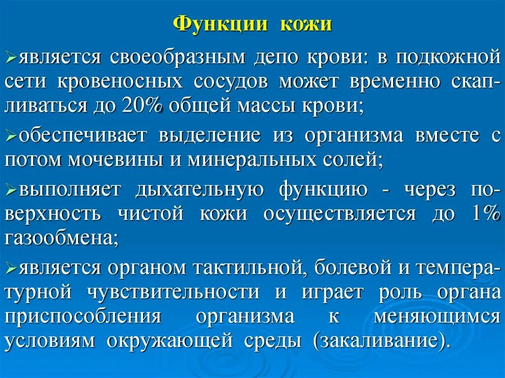 Депо крови в организме. Функции депо крови. Роль депо крови. Кожа депо крови. Функция органов депо крови.