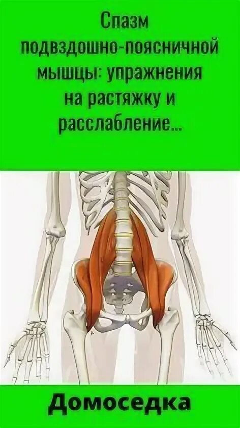 Упражнения для растяжки подвздошно поясничной мышцы. Растяжка подвздошно поясничной мышцы упражнения. расслабление подвздошно-поясничной мышцы. упражнения для расслабления квадратной мышцы поясницы. подвздошно-поясничная мышца упражнения на растяжение и укрепление.