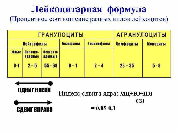 Что значит лейкоцитарная реакция. Формула ядерного сдвига лейкоцитарной формулы. Сдвиг лейкоцитарной формулы. Лейкоцитарная формула норма сдвиг вправо. Индекс сдвига лейкоцитарной формулы норма.