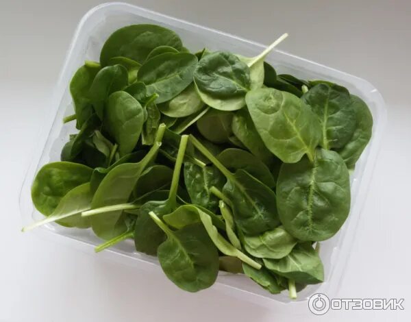 шпинат для презентации. блюда со шпинатом. как едят шпинат. микрозелень шпинат. шпинат и щавель.