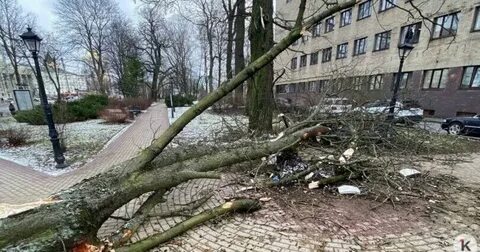 Ураган в калининграде сегодня
