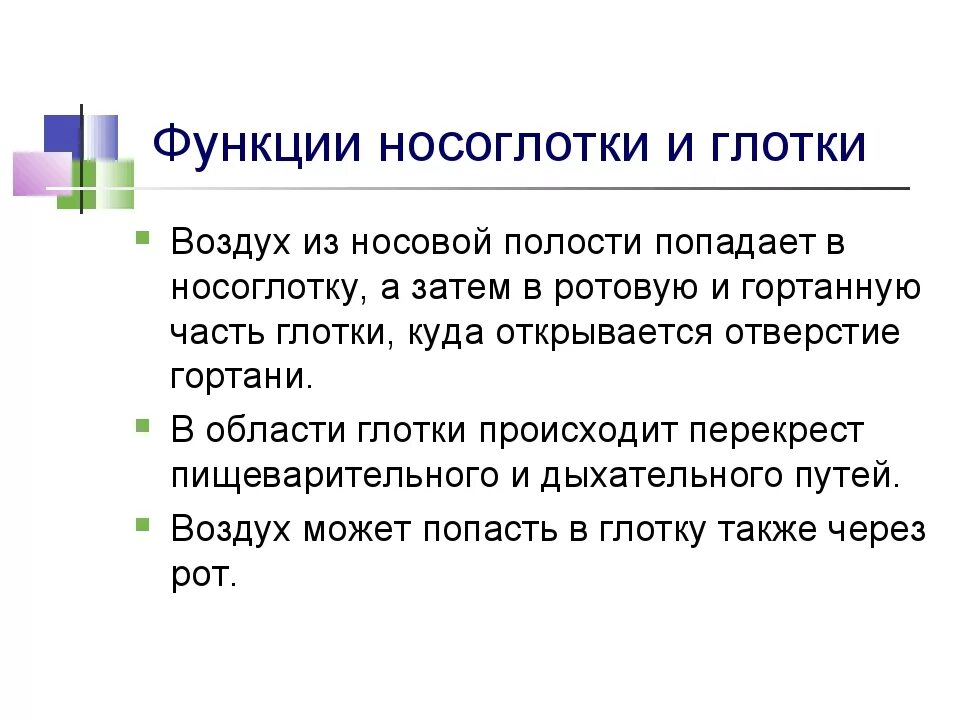 Значение носоглотки человека. Носоглотка строение и функции. Функции носоглотки 8 класс. Особенности строения носоглотки. Носоглотка особенности строения и функции.