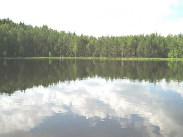 Озеро малькова. Белобережское водохранилище брянск. Озеро малькова. Тамбовское озеро город павловск воронежская область. Село мальково тюменская область озеро.