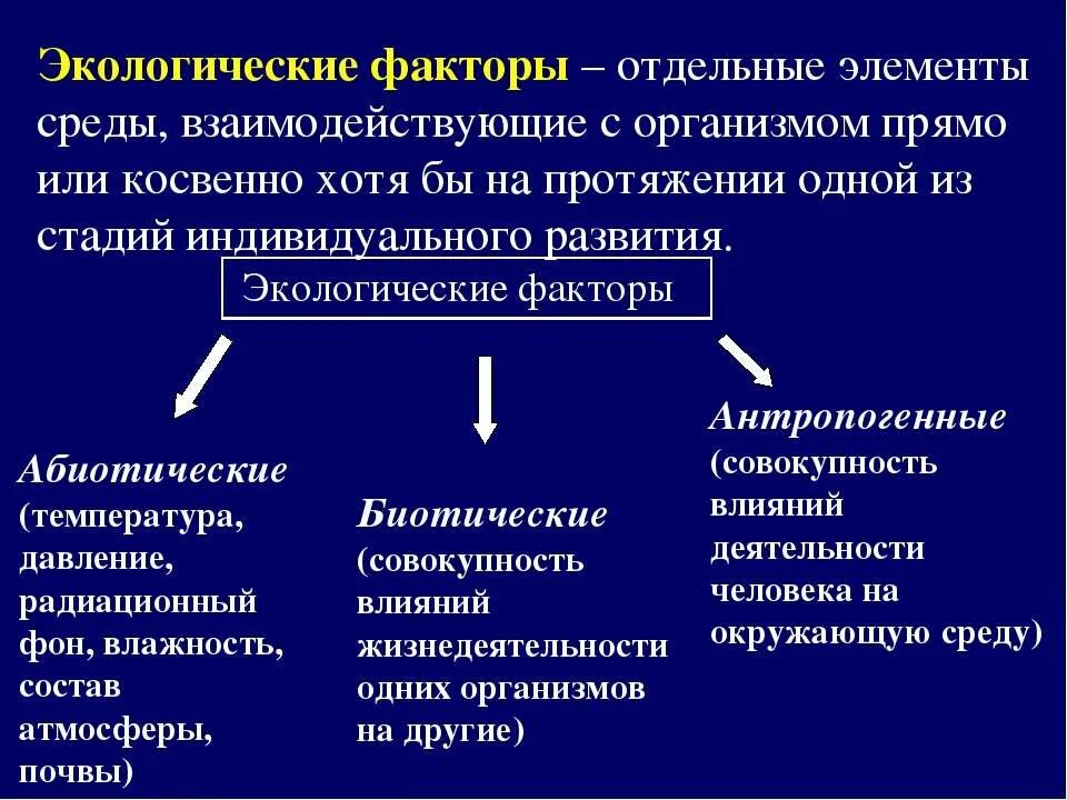 Экологические факторы. Экологические факторы среды. Факторы среды и их влияние на экосистемы. Экологические факторы экосистемы. Сведения относящиеся прямо или косвенно