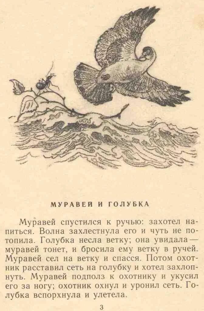 Л Н толстой муравей и Голубка. Басня Льва Николаевича Толстого муравей и Голубка. Лев толстой рассказ муравей и Голубка. Басня Толстого муравей и Голубка текст. Муравей сел на ветку и спасся текст