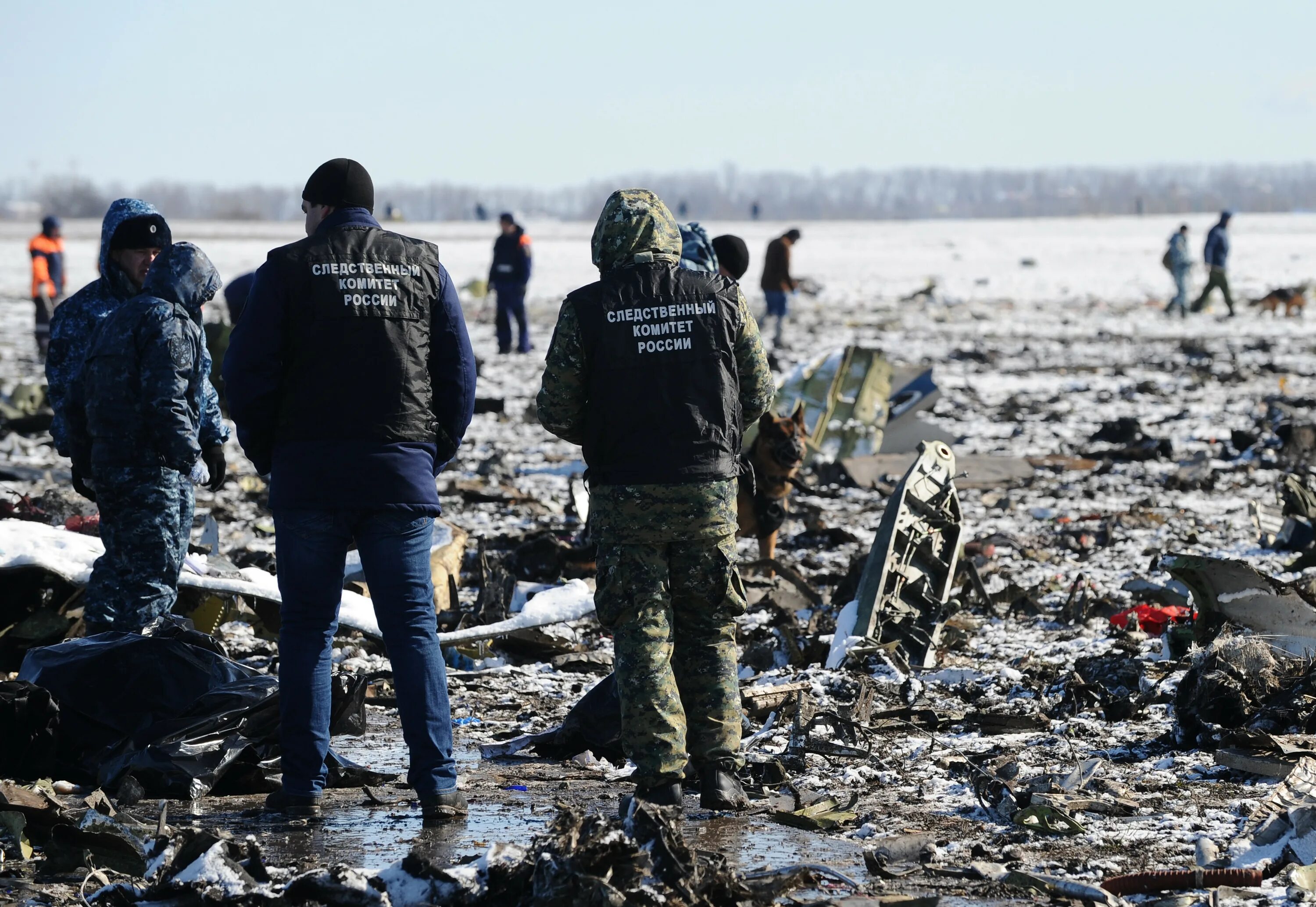 Дубай ростов на дону авиакатастрофа. Авиакатастрофа Боинг 737 Ростов на Дону. Крушение Боинга 737 в Ростове. Катастрофа Boeing 737 в Ростове. Катастрофа Boeing 737 в Ростове-на-Дону расследование Мак.