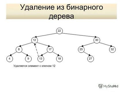 Что такое бинарное дерево