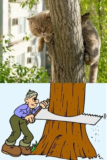 Помогите слезть. Слезать с дерева. Кот слезает с дерева. Помоги слезть с дерева. Человек слезает с дерева с котом.