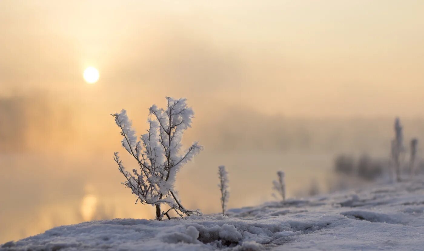 Красивого утра февраля