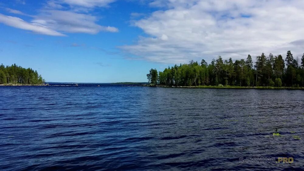 Карельский перешеек ладога. Чесьярви озеро карелия. Калевальский национальный парк озера. Водоемы карелии. Озеро кента карелия.