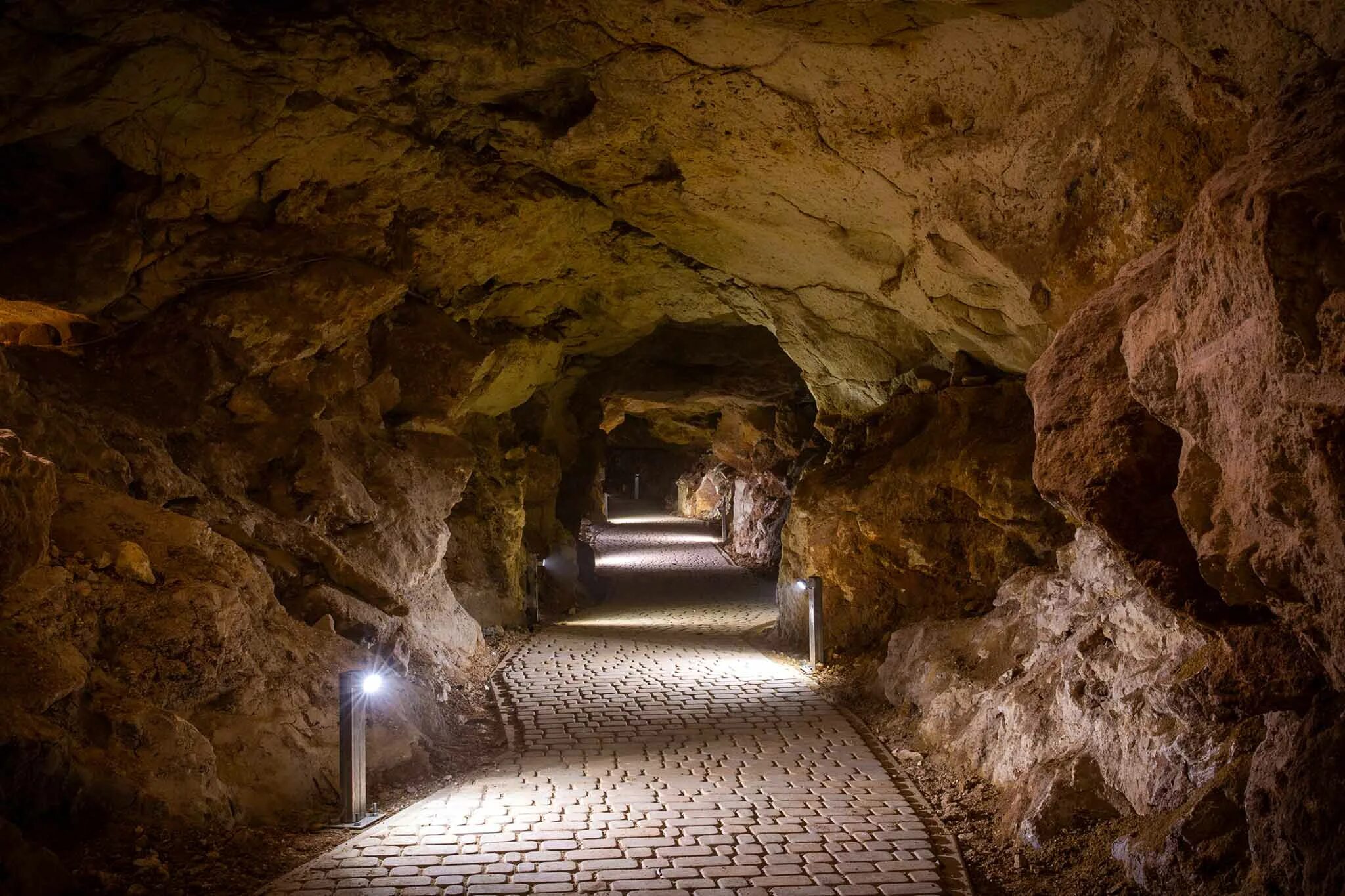 Пещера чатракам геншин импакт. Пещера под великим храмом наруками геншин. Пещера 3 the forest. Карта форест. Великий храм наруками.