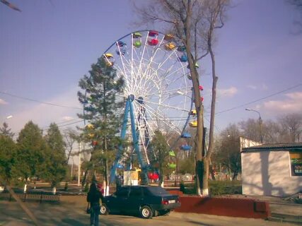 Город сальск область