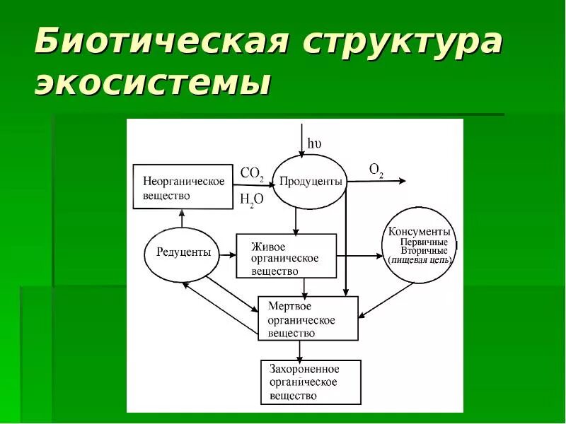 Экосистемная организация природы компоненты экосистем 9 класс. Экосистема структура экосистемы. Биотическая структура экосистем. Биогеоценоз и структура биогеоценоза. Структура экосистемы таблица.