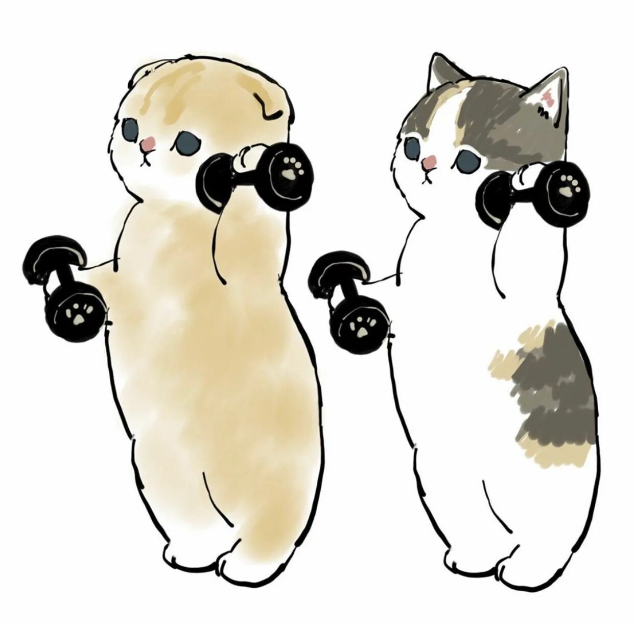 Mofusand котики. Mofusand котики. Котики mofu. Ciao salut котики. Mofusand котики.