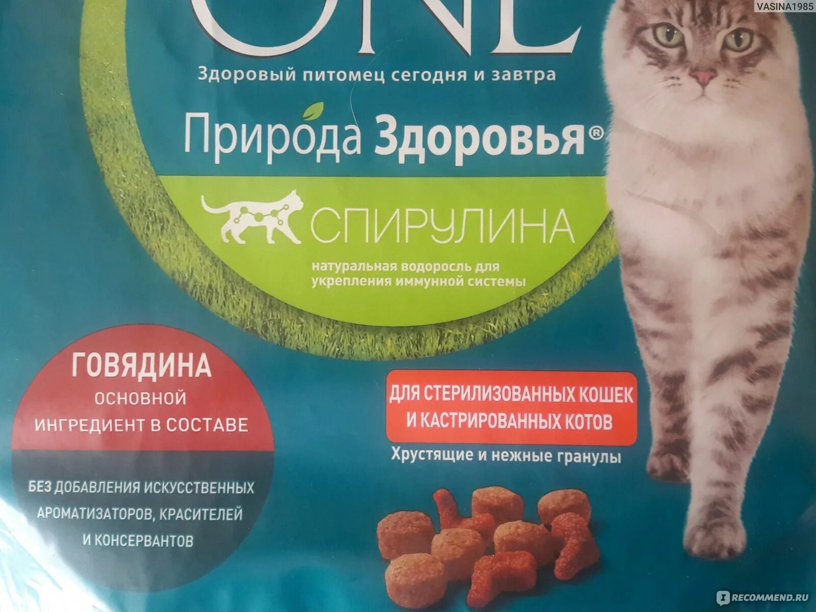 Чем кормить кастрированного кота в домашних условиях. Еда для стерилизованных кошек. Хороший корм для кошек стерилизованных. Лучшие корма для стерилизованных кошек. Хорошие корма для стерилизованных котов.