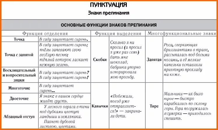 Пунктуационные правила дети радовались. Функции знаков препинания в русском языке таблица. Правописание знаков препинания таблица. Таблица назначения знаков препинания. Принципы русской пунктуации функции знаков препинания таблица.