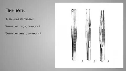 Зубчато лапчатый
