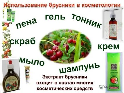 Экстракт брусники