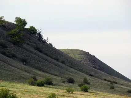 Волгоградская область пановка камышинский