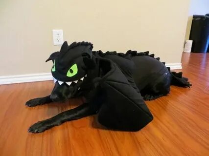 Костюм дракона для кота