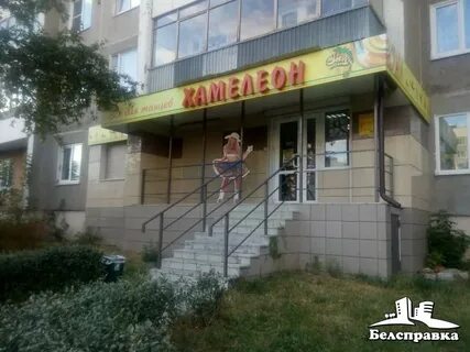 Хамелеон уфа