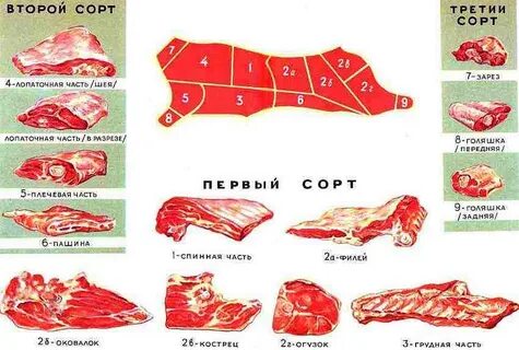 Кострец что это