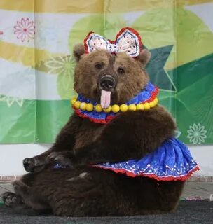 Медведь на праздник