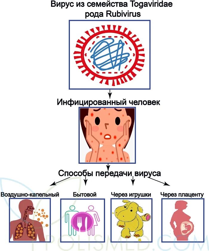 Механизм кори. Корь источник инфекции возбудитель пути передачи. Коревая краснуха пути заражения. Краснуха механизм передачи инфекции. Краснуха способы передачи.