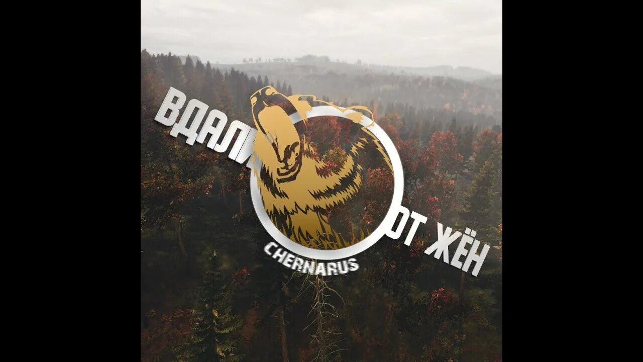 Вдали от жен dayz. Вдали от жен dayz