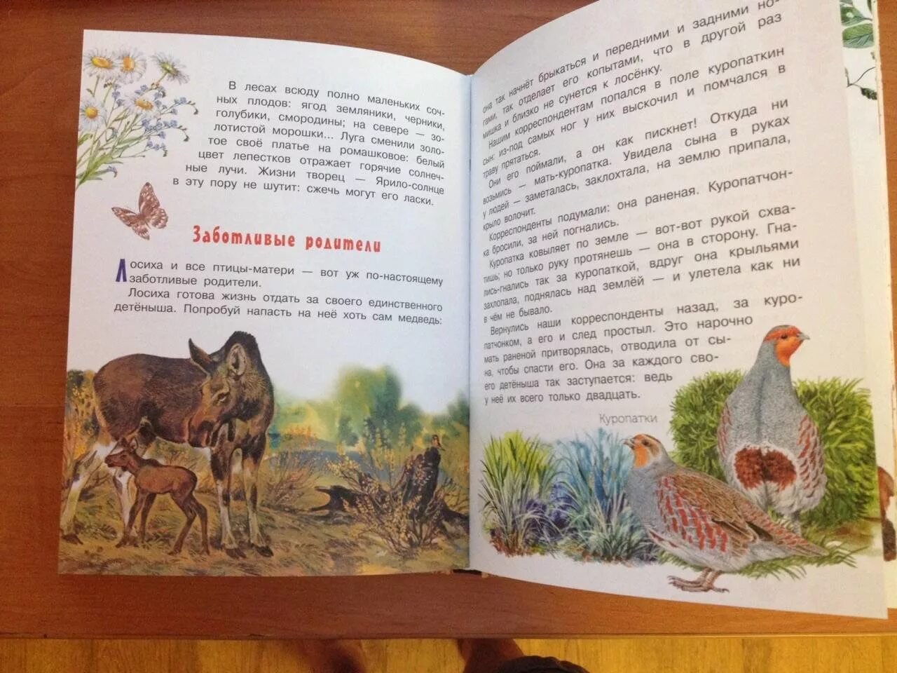 Рассказ пришвин бианки. Маленький рассказ о природе. Пришвин детям о природе. Маленькие сказки про природу. Маленький рассказ о природе 3 класс.