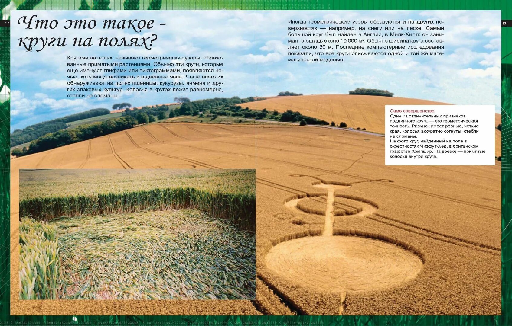 Площадь земельного участка в сотках. Инопланетные круги на полях. 1 гектар. 9 в 100 полей. 100 метров на 100 метров сколько гектар.