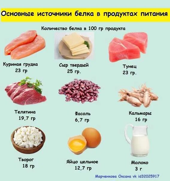 Источник белковых продуктов. Источники белка в продуктах питания. Основные источники белка в питании. Лучшие источники белка. Источники белкк в продуктах.